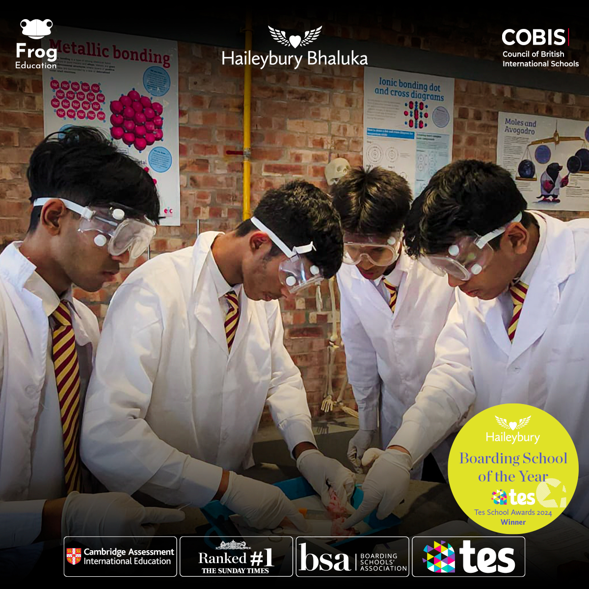 IGCSE Biology students dissecting a heart to study the circulatory system at Haileybury Bhaluka